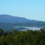image09